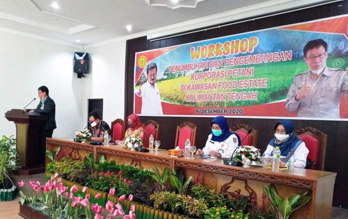 Kepala BPPSDMP Dedi Nursyamsi membuka Workshop Pengembangan Food Estate di Kalteng, Rabu (16/12/2020)