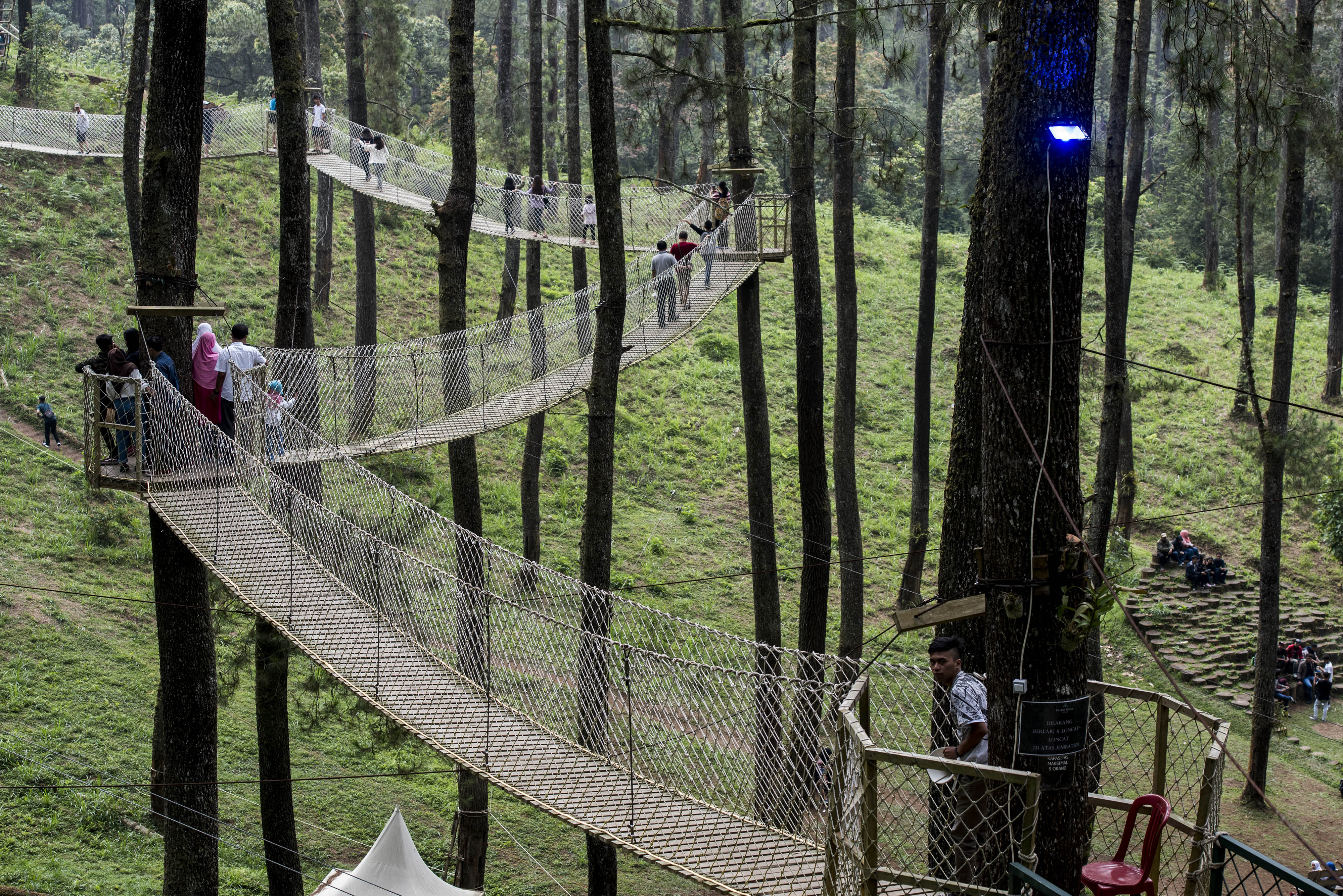 Kawasan Ecowisata Orchid Forest Cikole, Lembang, Kabupaten Bandung Barat. Jawa Barat. 