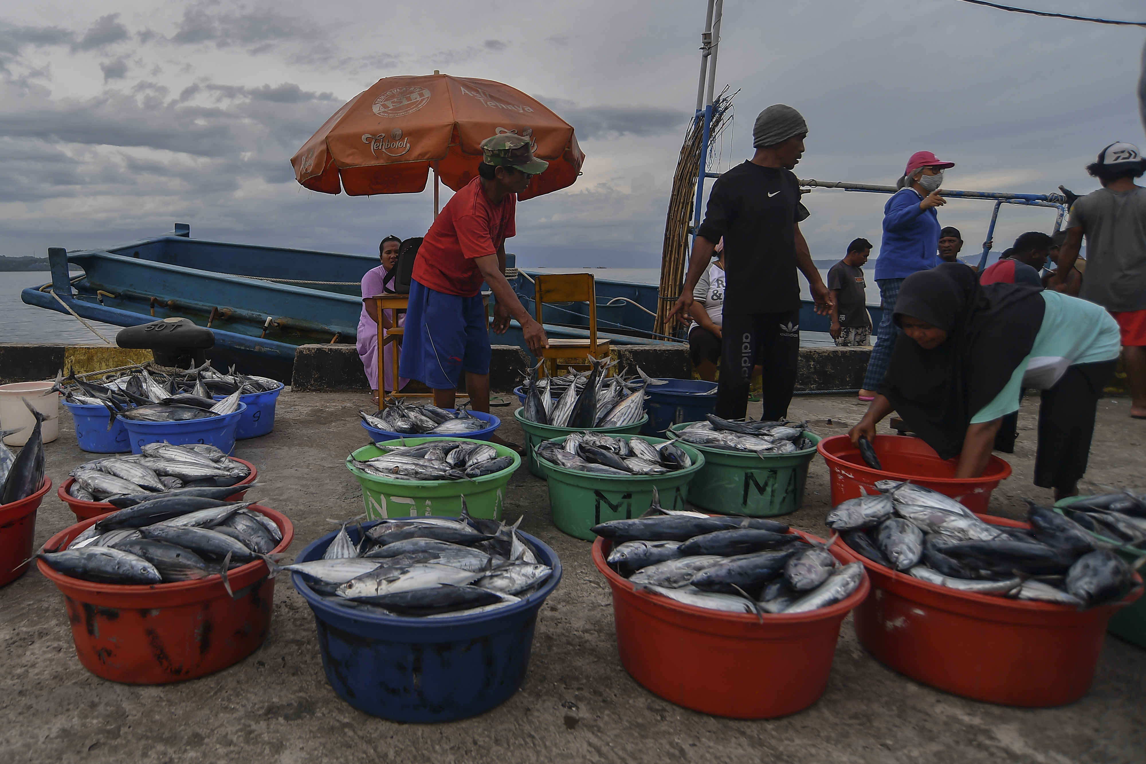  Nelayan melakukan bongkar muat hasil tangkapan laut di Pelabuhan Tulehu, Ambon, Maluku, Minggu (8/11/2020).