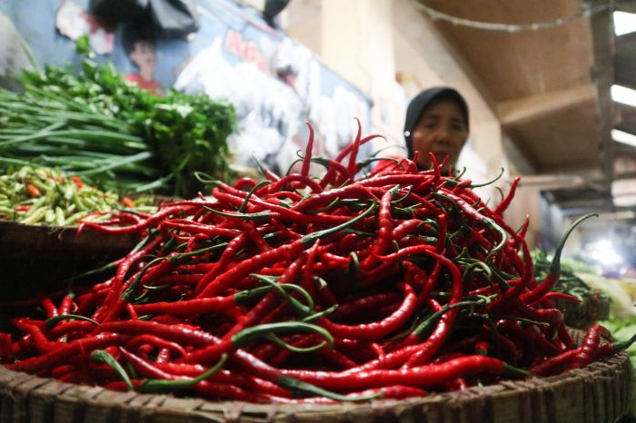 Harga cabai di Aceh melambung menjelang Natal 2020.