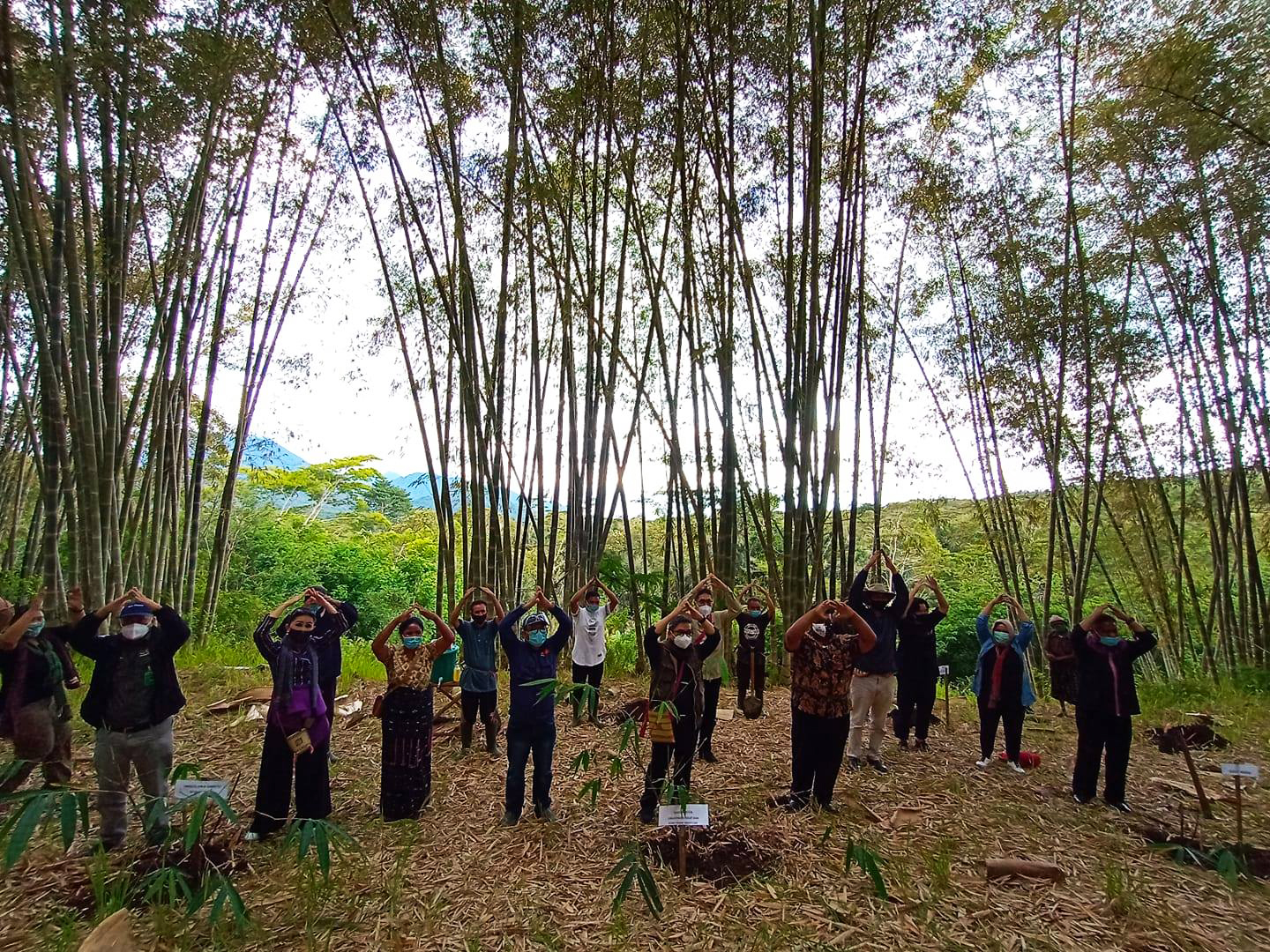 Kebun Bambu Turetogo di Kabupaten Ngada, Nusa Tenggara Timur.