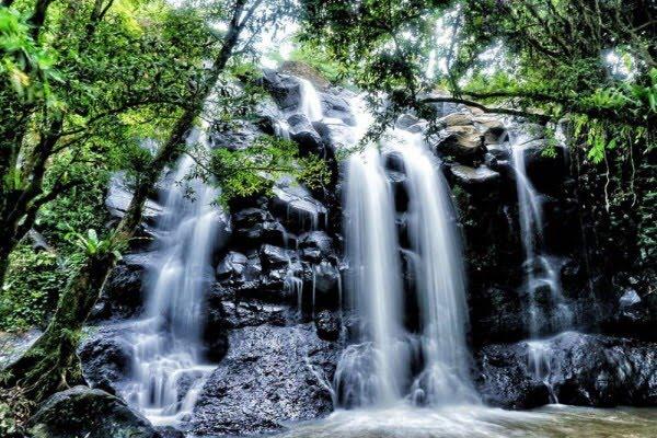  Selain pantai, Bali juga memiliki banyak air terjun yang cantik jelita.