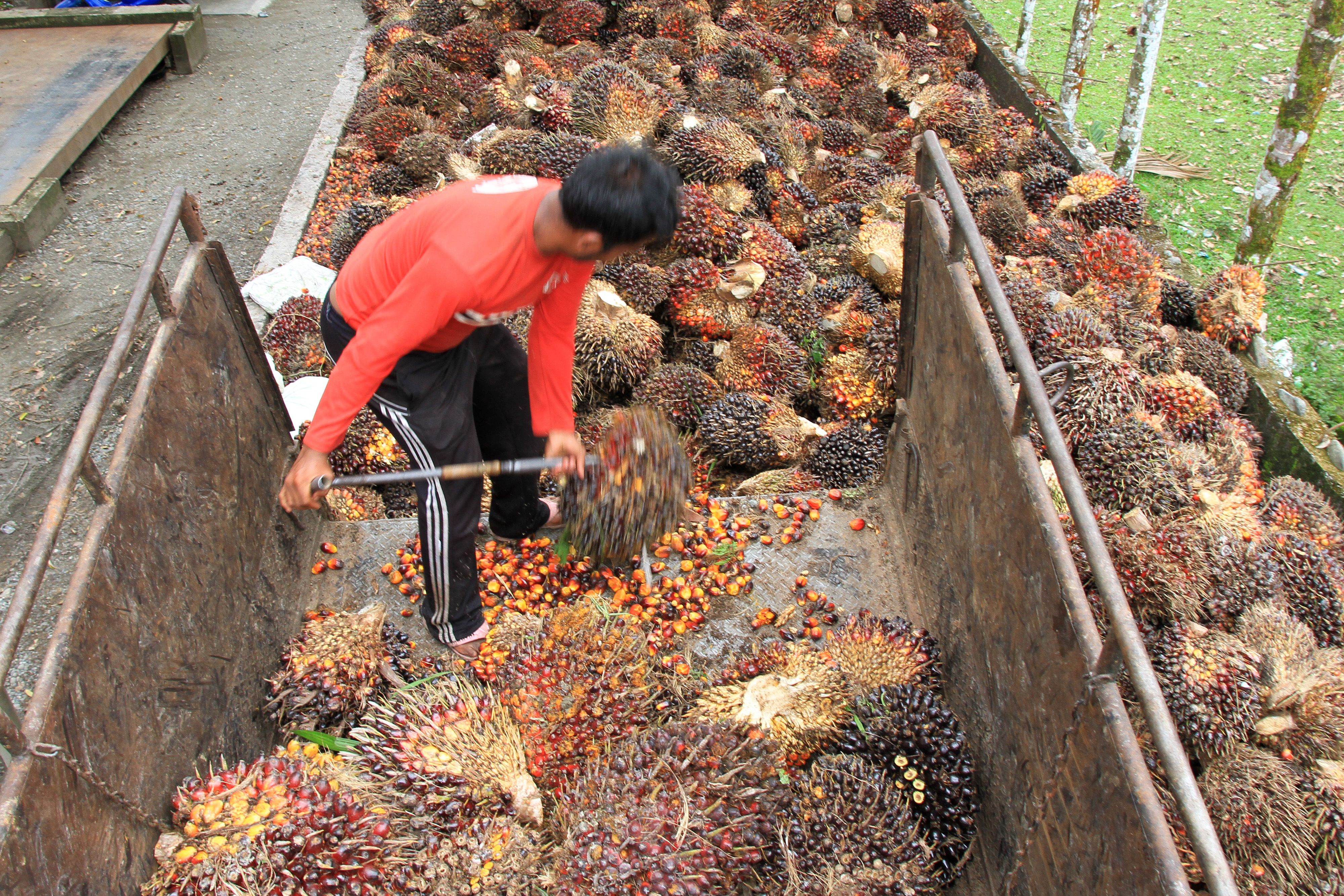 VOLUME EKSPOR PRODUK MINYAK SAWIT TURUN