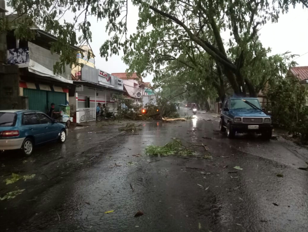 Angin kencang di Kabupaten Cianjur, Jawa Barat menumbangkan pohon.