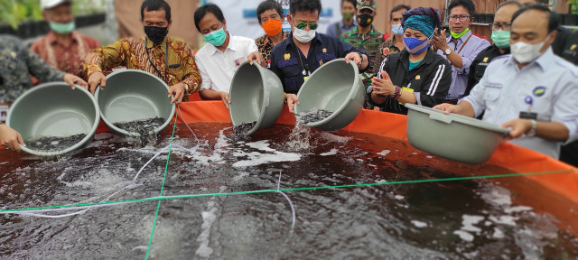 Kementan Kembangkan Perkebunan Rumah di Boyolali dan Kaeanganyar.