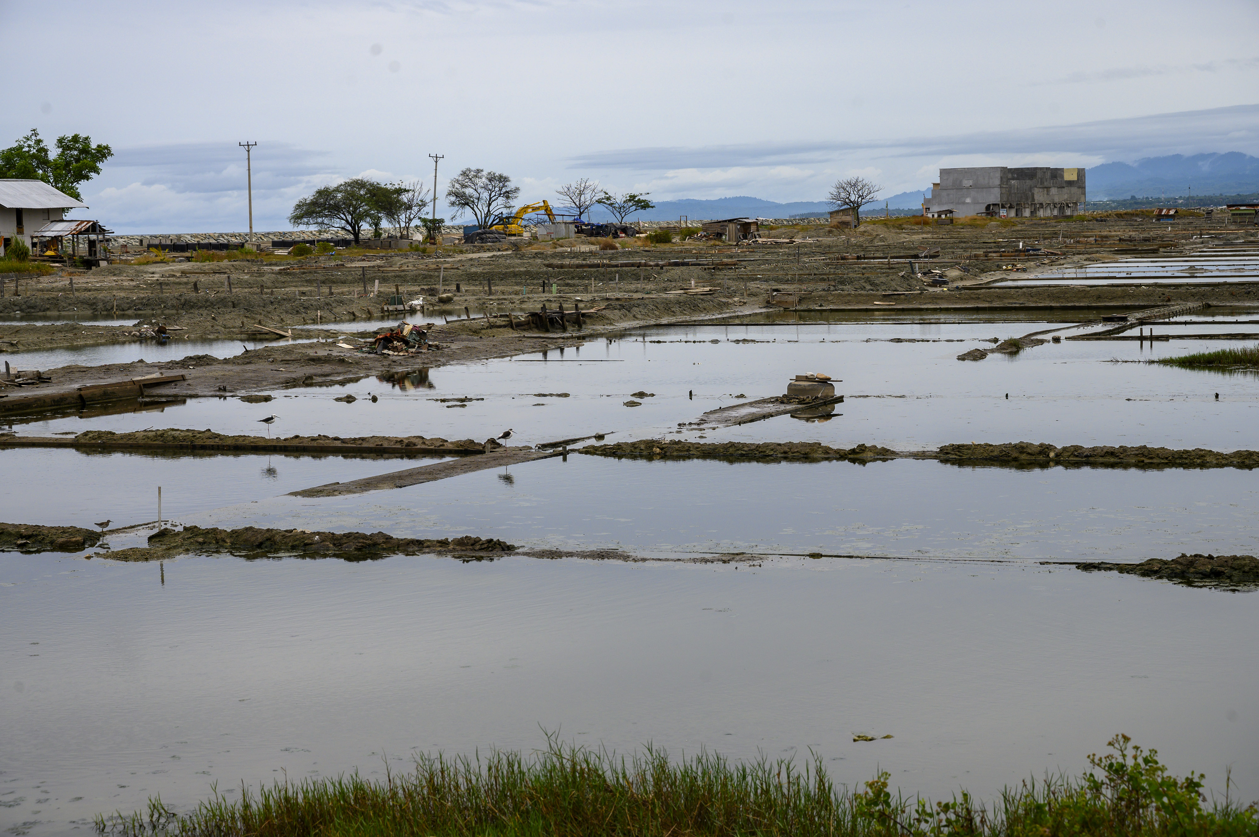 Banyak lahan pertambakan garam yang  tidak bisa diolah akibat pengaruh La Nina yang mendatangkan intensitas hujan yang tinggi.