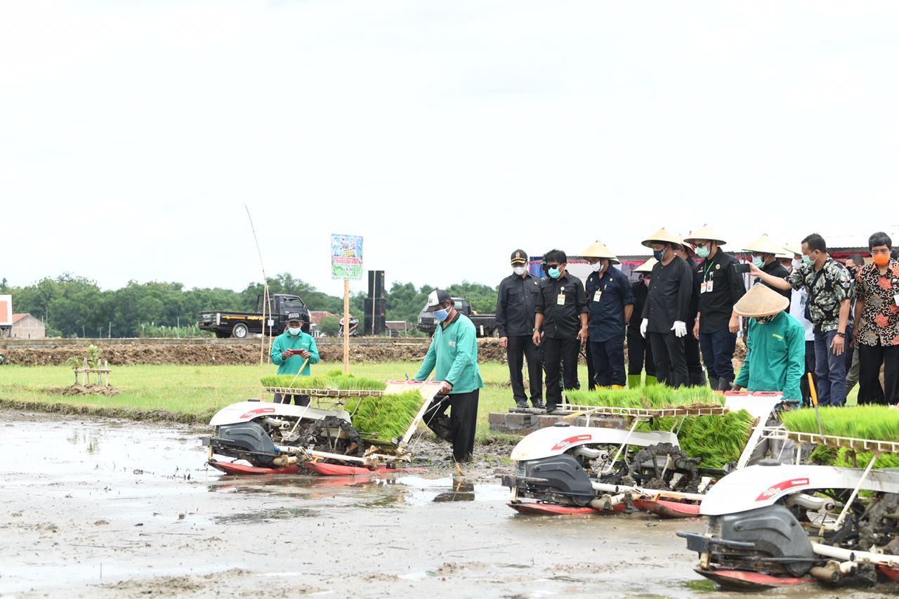 Mentan SYL bersama anggota Komisi IV DPR RI, Luluk Nur Hamidah meninjau kawasan pertanian dengan budidaya Integrated Farming di Jateng.