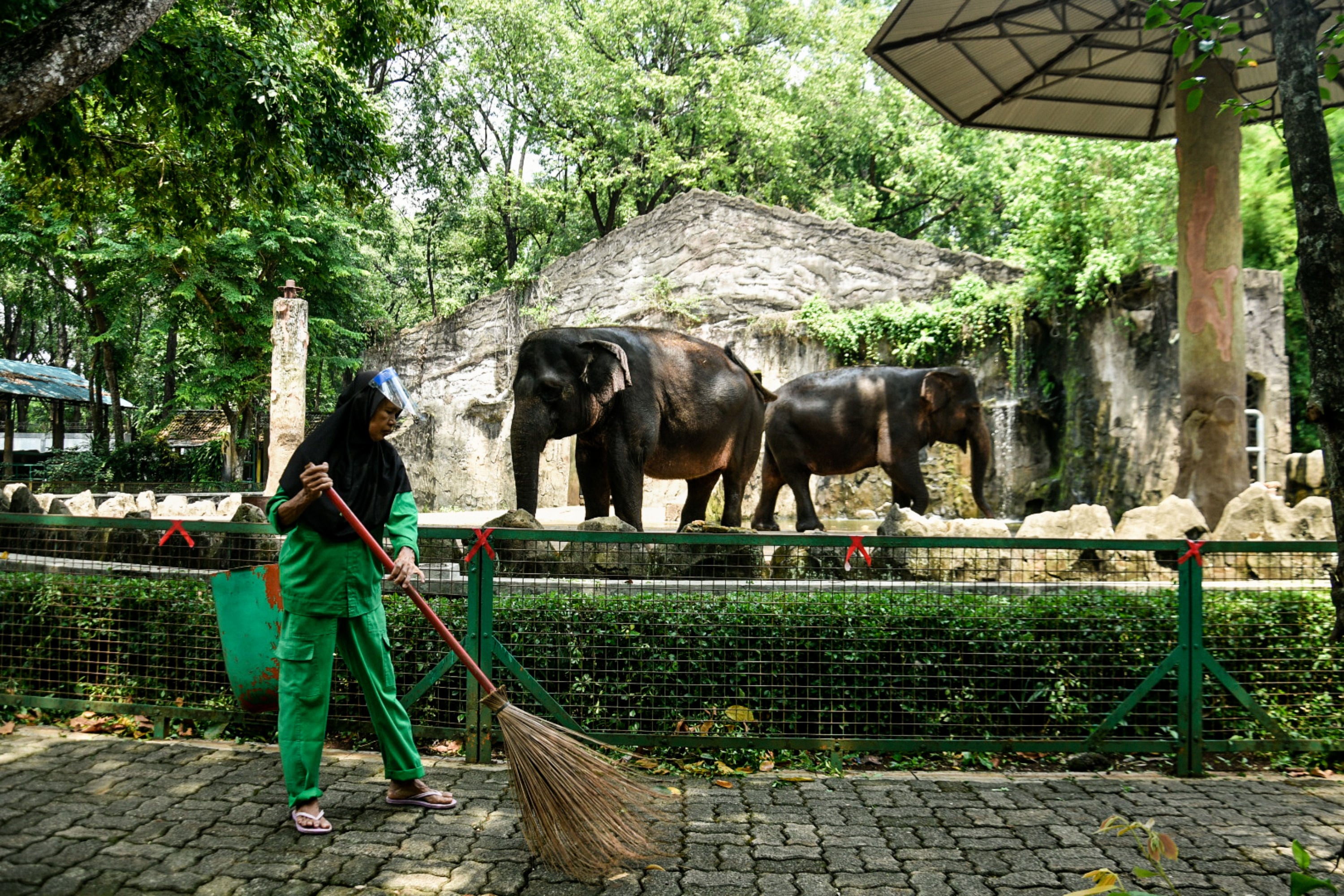 Petugas membersihkan kawasan Taman Margasatwa Ragunan, Jakarta.