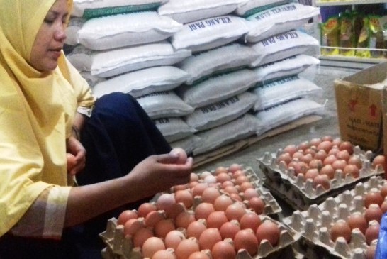 Seorang perempuan sedang memperhatikan telor ayam.