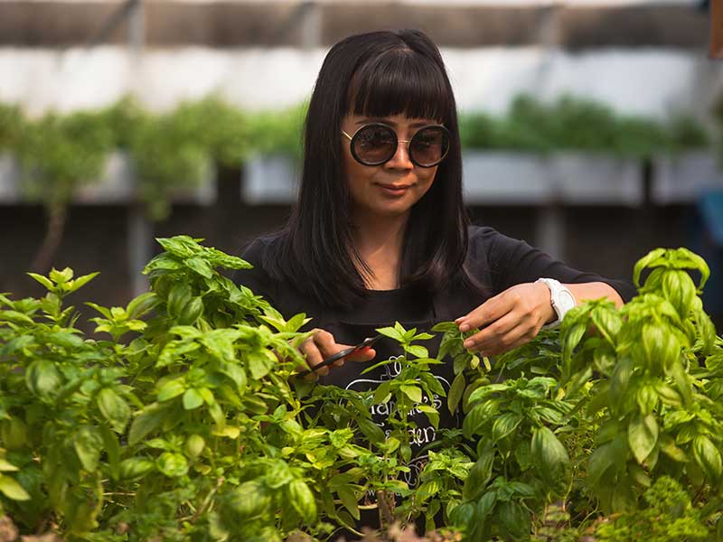 Gaya berkebun masyarakat urban perkotaan