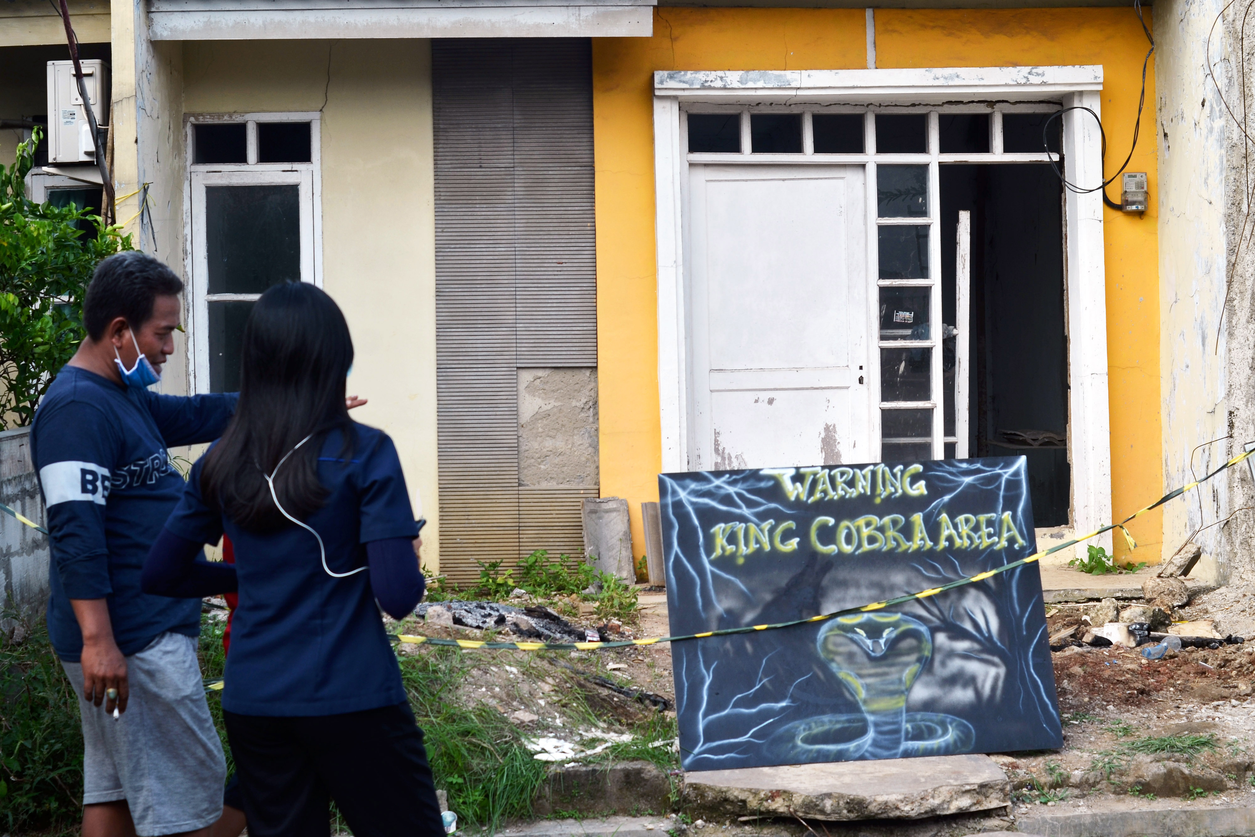 Ilustrasi: penemuan king kobra