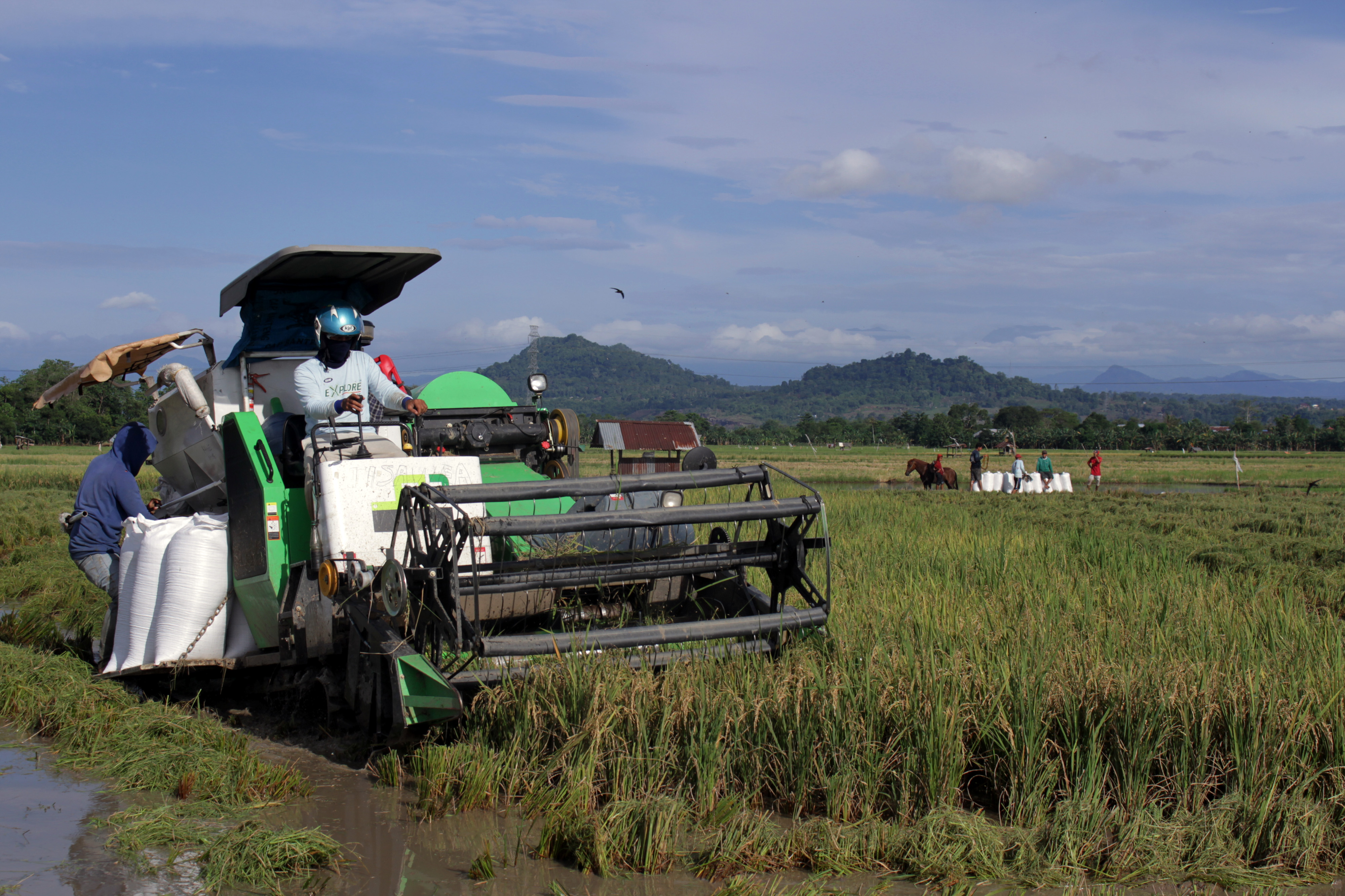  Operator mengoperasikan mesin pemanen padi di area persawahan Romang Lompoa, Kabupaten Gowa, Sulawesi Selatan.