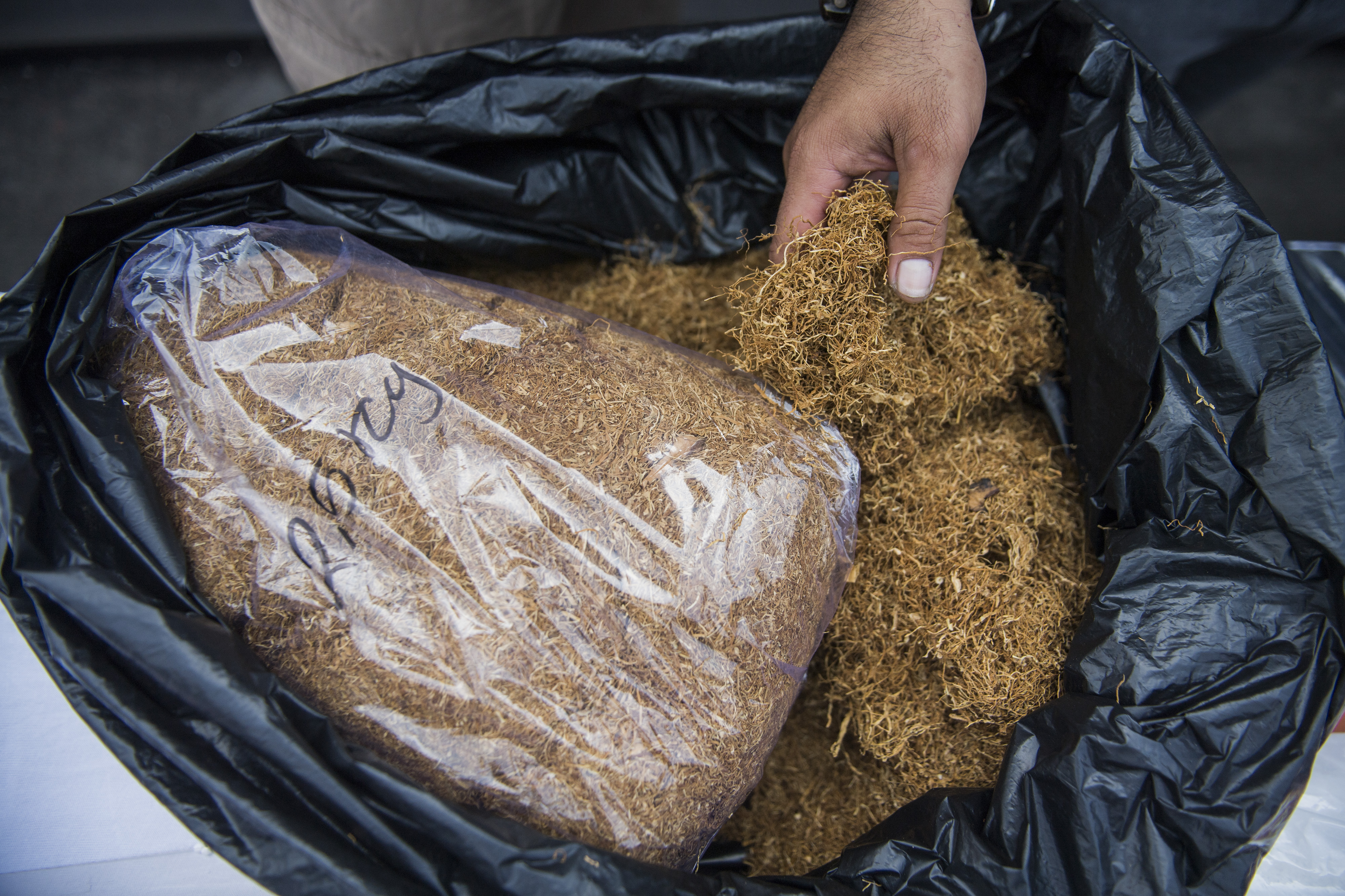 Dua Pengedar Tembakau Gorilla di Sidoarjo Divonis 20 Tahun Bui