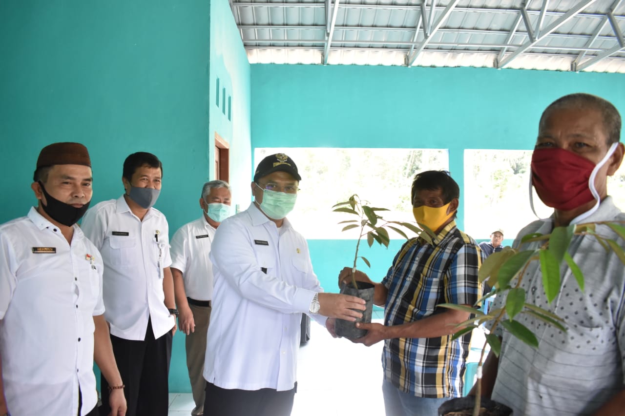 Gubernir Babel Erzaldi Rosman menyerahkan bibit durian.