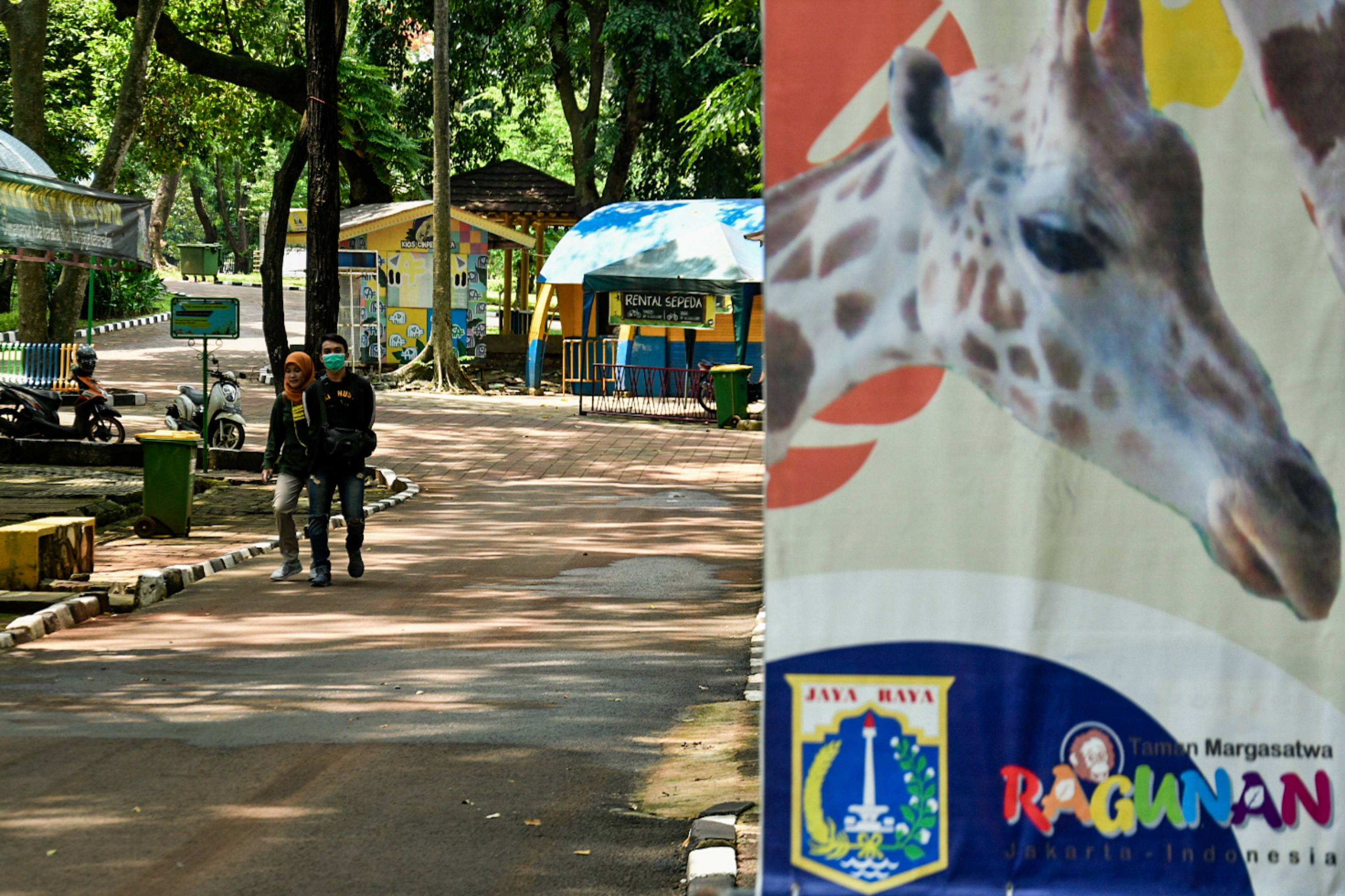 Ilustrasi: Suasana Taman Margasatwa Ragunan (TMR) yang mulai didatangi pengunjung, Jakarta, Selasa (13/10/2020)