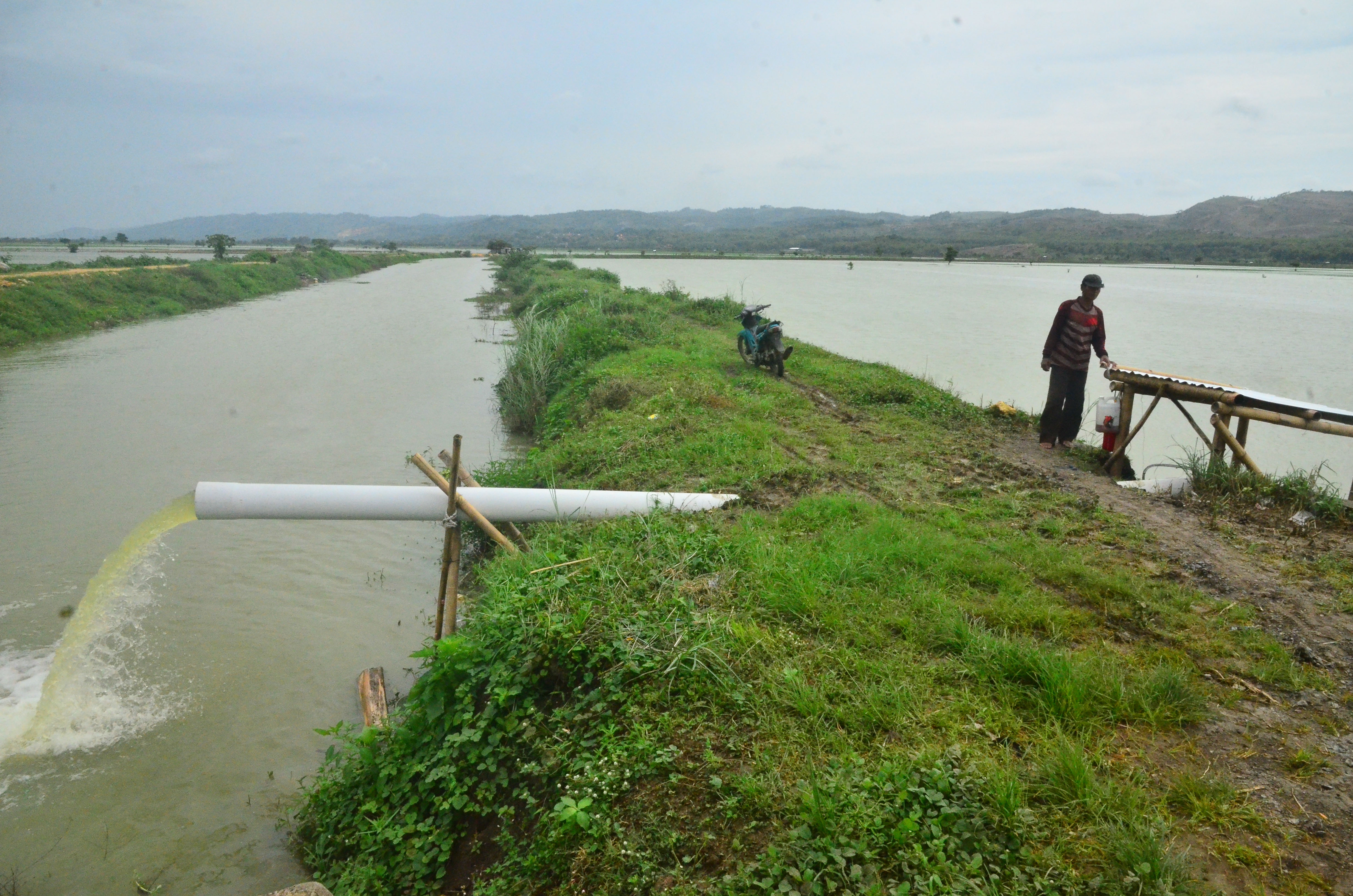 Petani mengoperasikan mesin pompa air untuk menyedot air yang menggenangi sawah di Desa Wonosoco, Kudus, Rabu (9/12/2020).