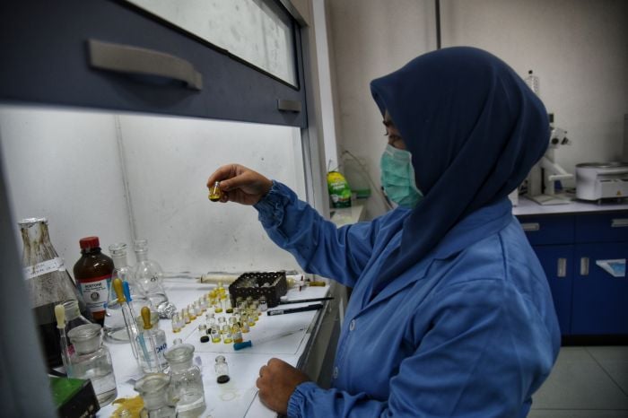 Peneliti sedang memisahkan ekstrak daun ketepeng. BPOM mendukung obat herbal/obat tradisional di Indonesia menjadi fitofarmaka. 