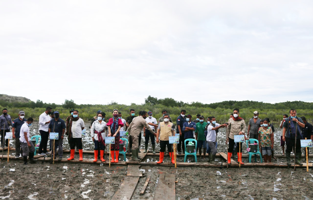 (Wamen) Lingkungan Hidup dan Kehutanan Alue Dohong melakukan penanaman mangrove di Desa Langkosambi Timur, Kecamatan Riung, Ngada.
