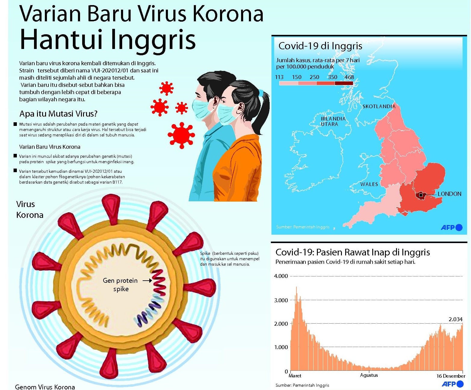 WN Inggris Dilarang Masuk ke RI, Satgas : Demi Lindungi Warga
