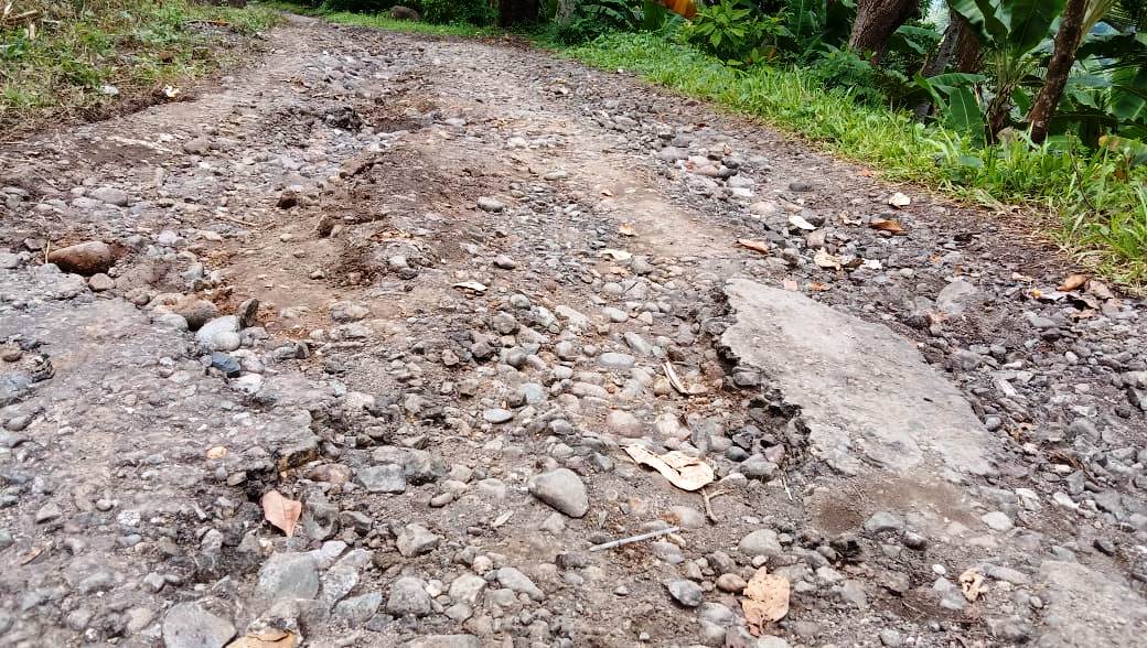 Jalan poros kabupaten di Desa Pogon, Kecamatan Waigete, Kabupaten Sikka, NTT rusak parah.