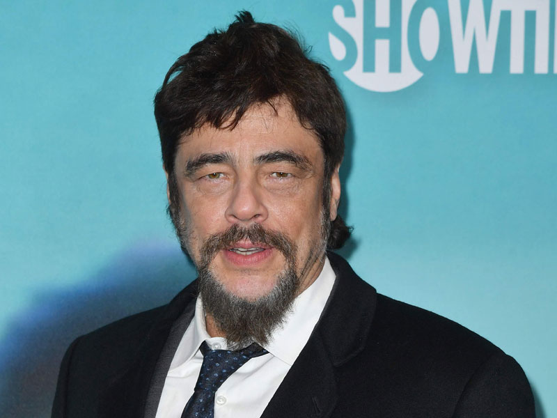 Benicio Del Toro