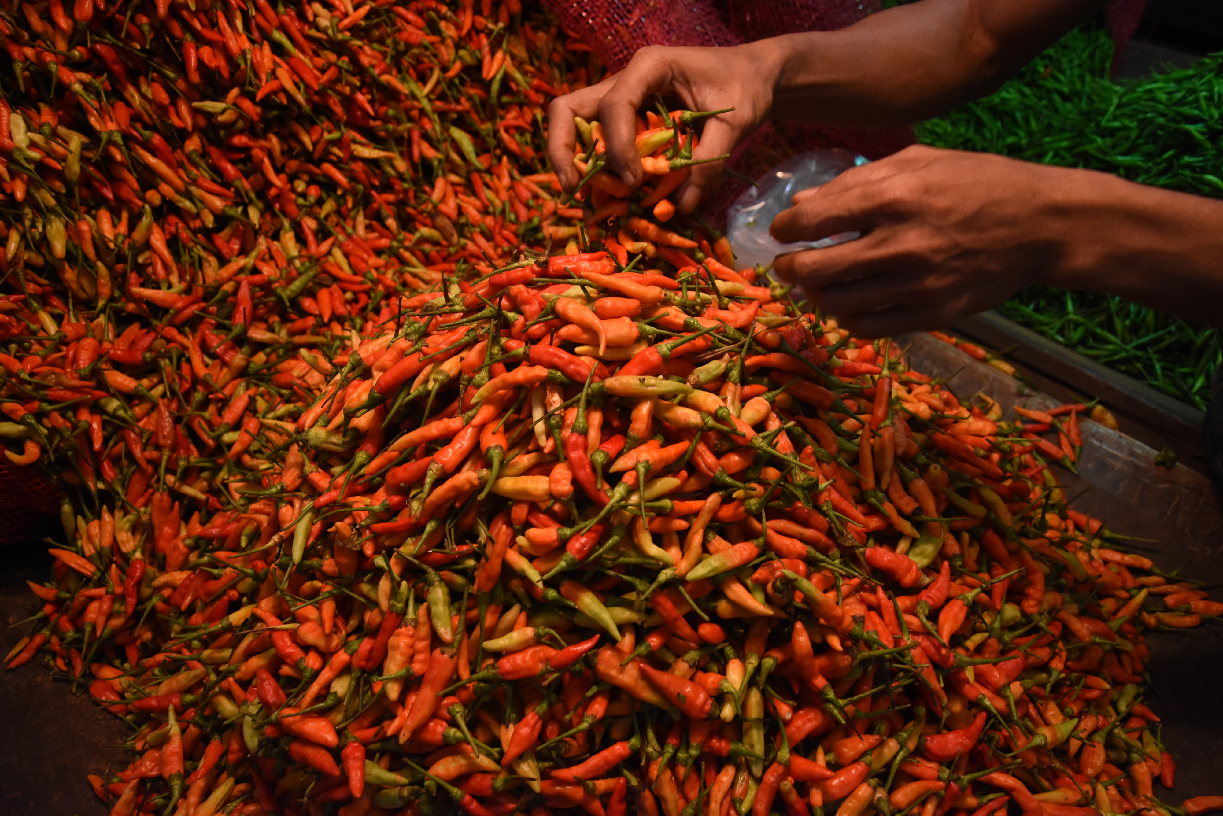 Harga pangan menjelang Tahun Baru di Kota Medan mulai naik namun masih wajar.