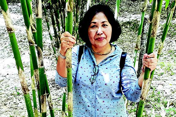 Dr Ir Pande Ketut Diah Kencana