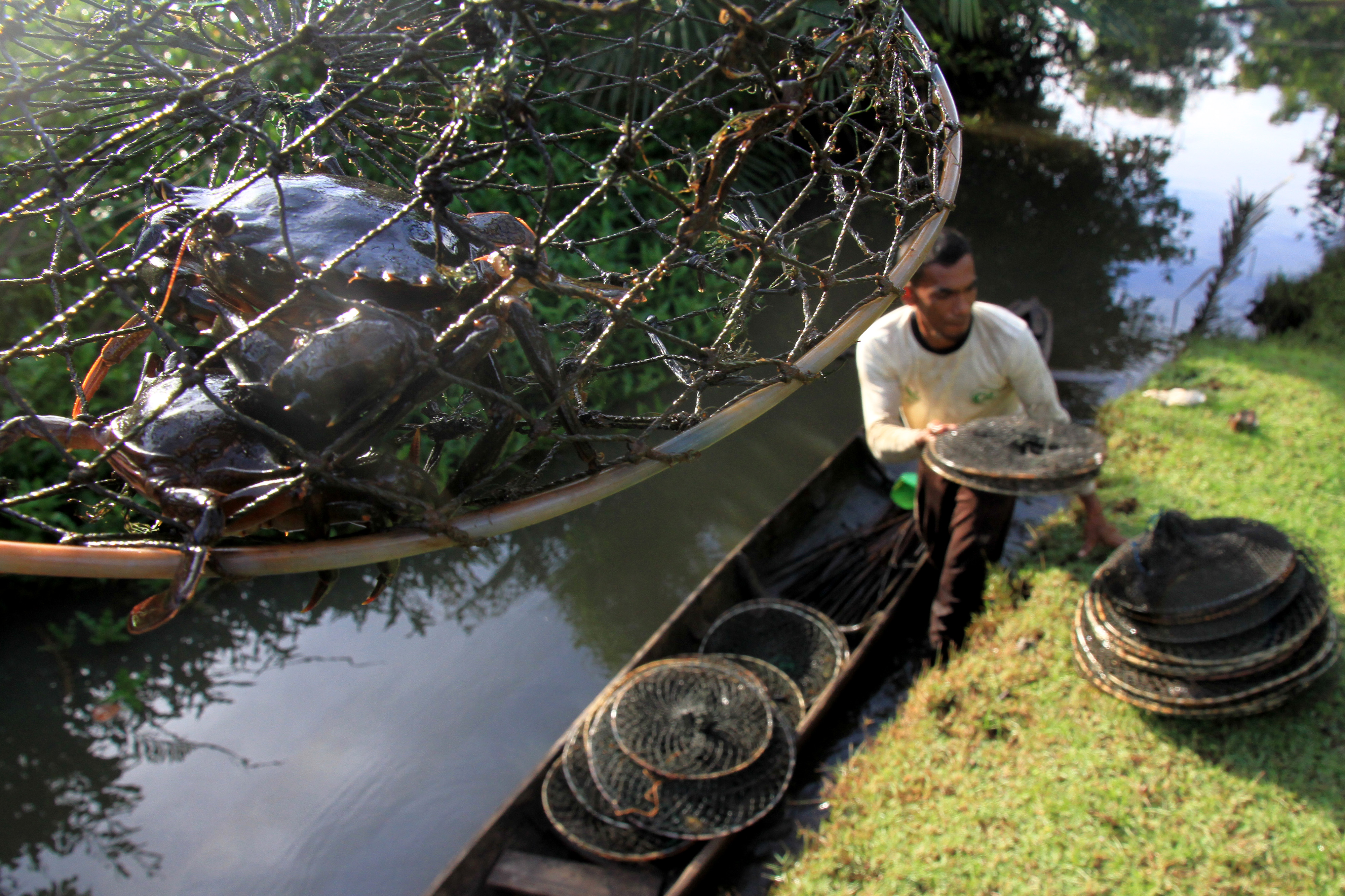  Nelayan menurunkan kepiting bakau hasil tangkapannya di Desa Alue Raya, Kecamatan Samatiga, Aceh Barat, Aceh, Senin (21/12).