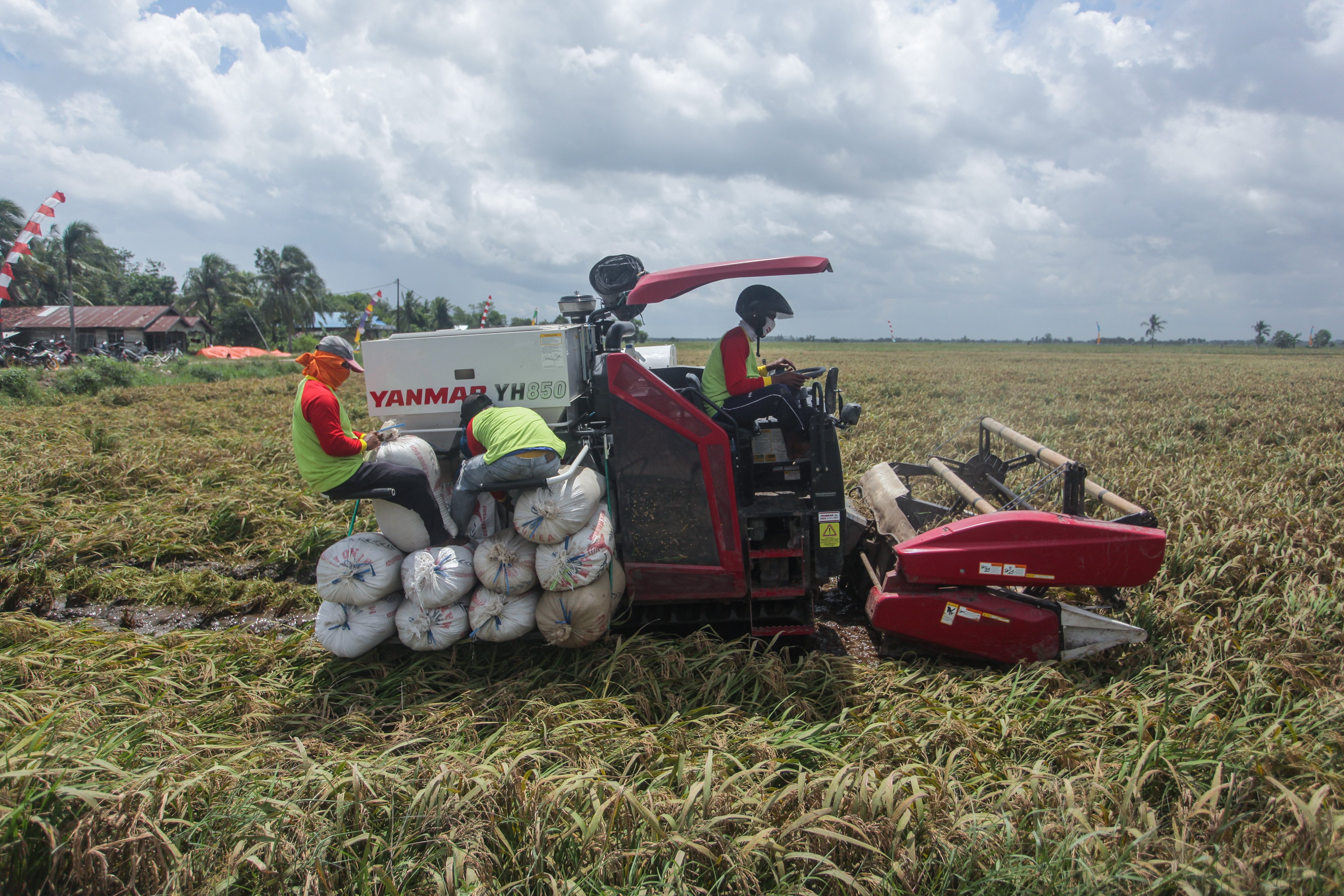 Petani memanen padi menggunakan alat mesin pertanian (alsintan) saat panen raya di areal persawahan lumbung pangan nasional Kalteng