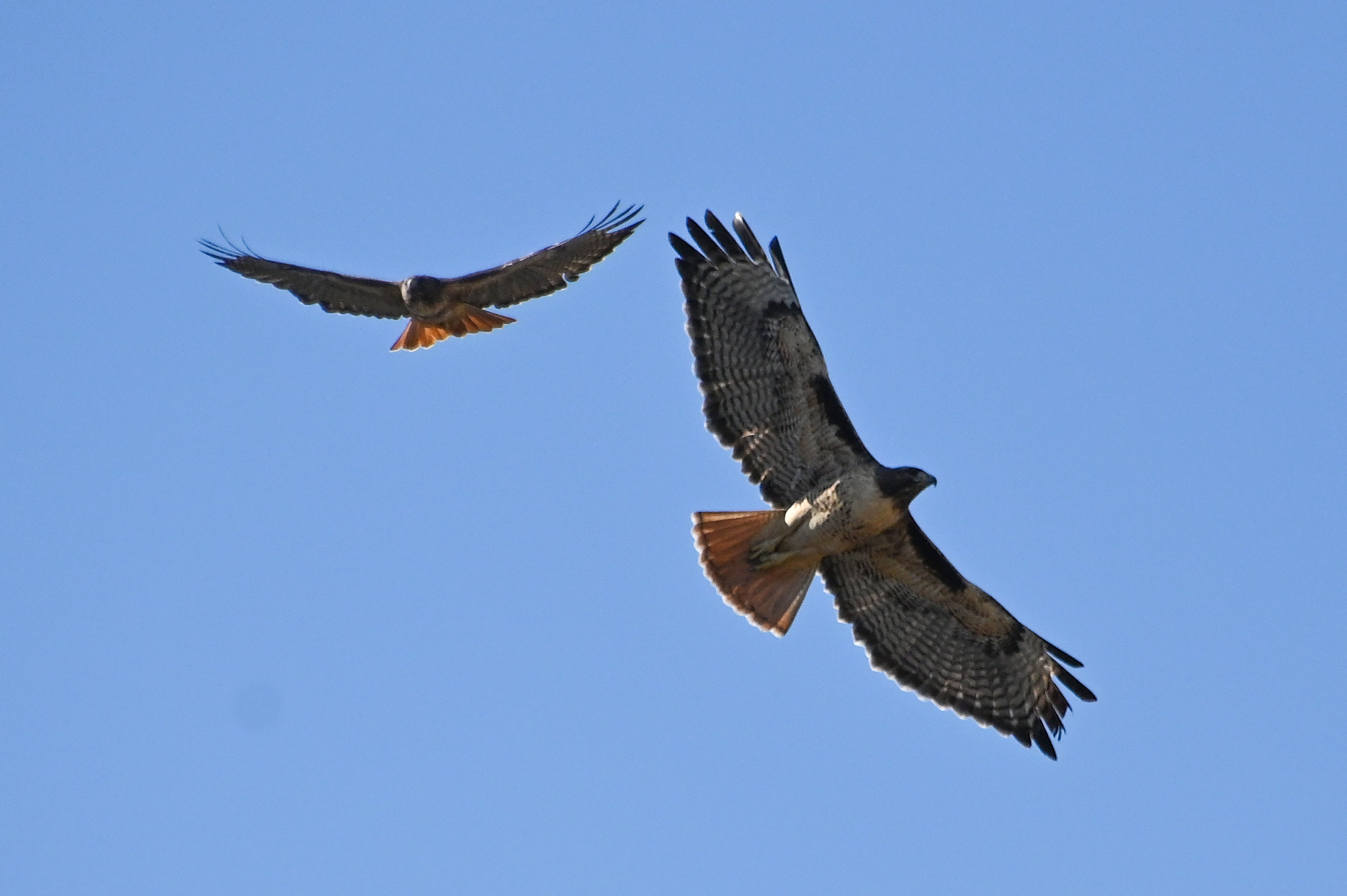 Pandemi Covid-19 Turunkan Emisi Karbon 7 Persen