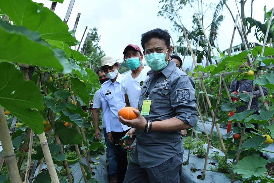 Menteri Pertanian (Mentan) Syahrul Yasin Limpo meninjau kawasan lokasi usaha packing house Lembang