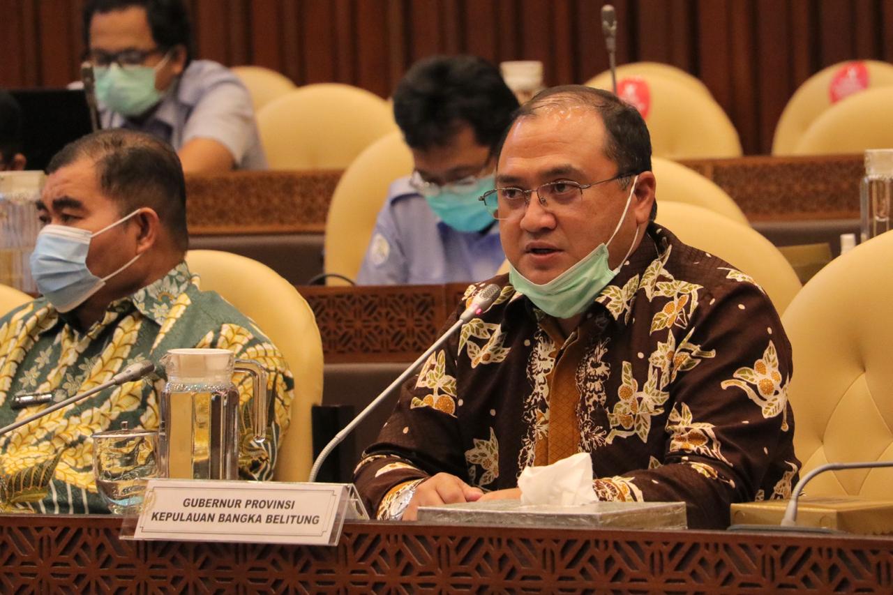 Polemik KIP, Komisi IV DPR RI Tegaskan Dukung Gubernur Babel