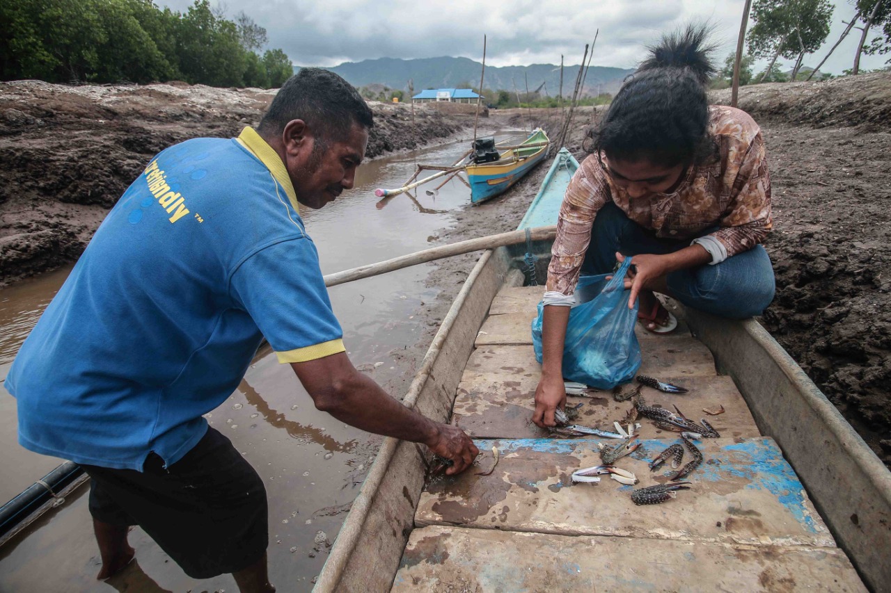 Sulis membeli kepiting dari nelayan di desanya, kemudian dijual lagi