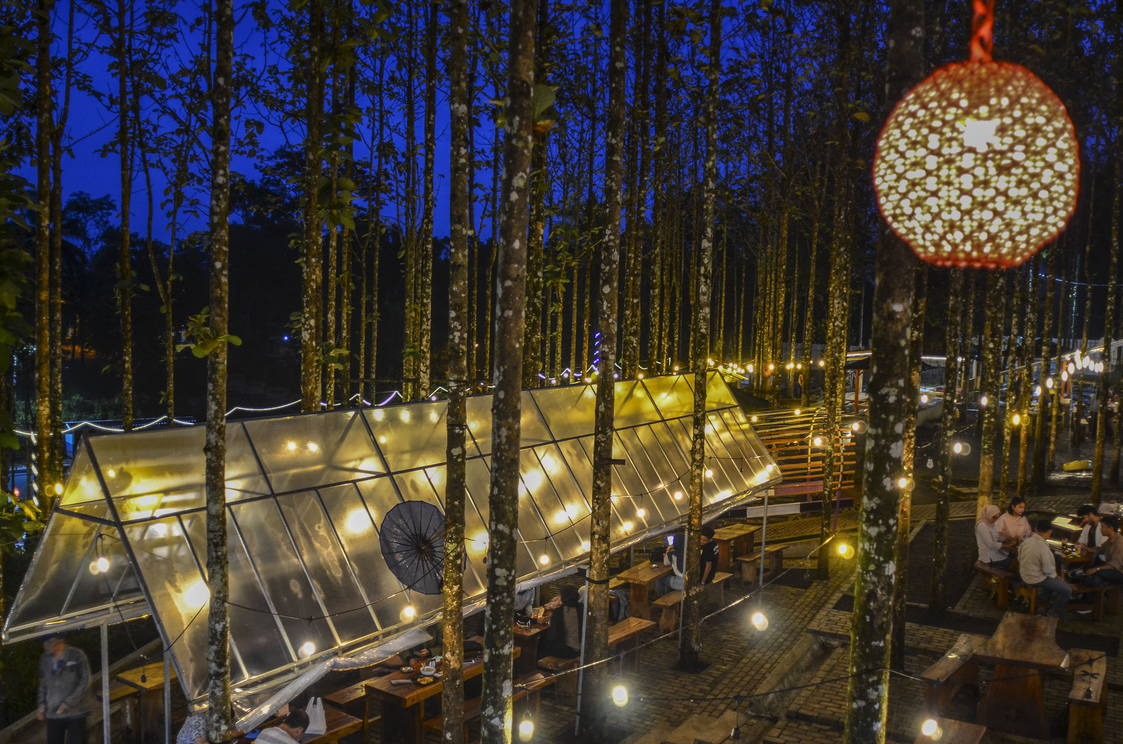 BUMDes Nusa Cahaya di Desa Jalatrang, Ciamis mengembangkan wisata Jati Sewu