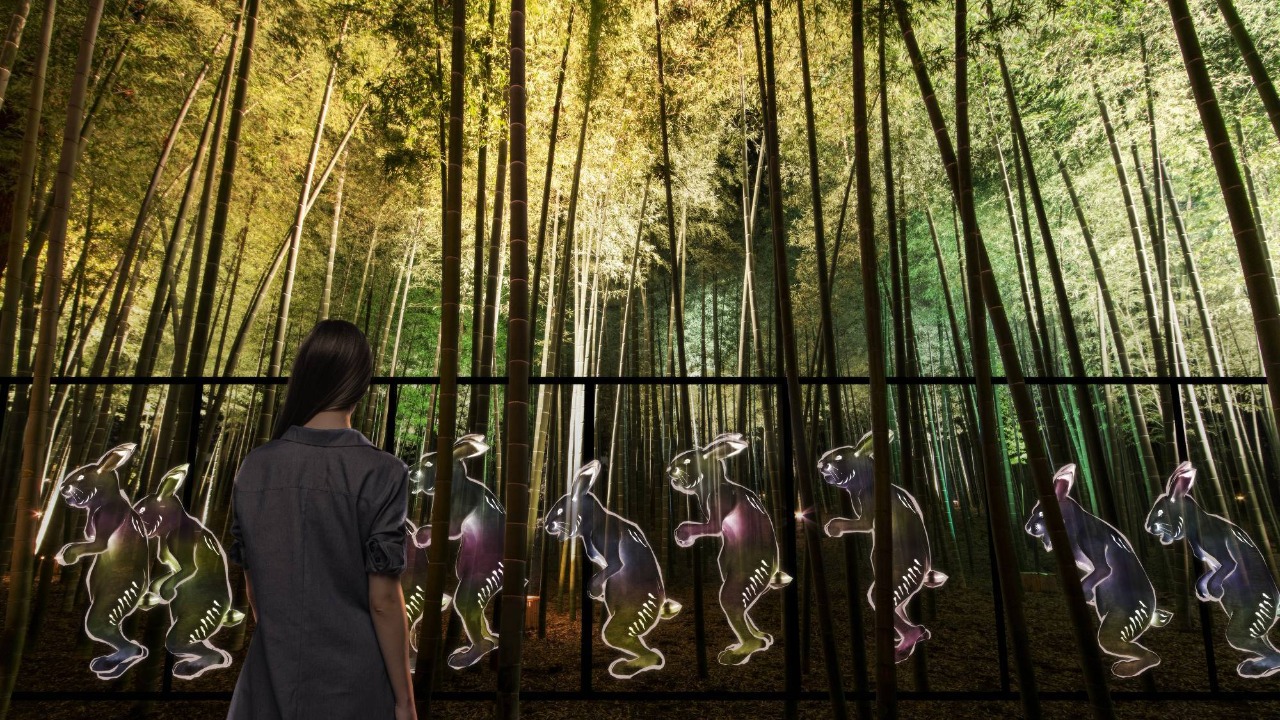 Pameran Seni Instalasi Cahaya di Jepang