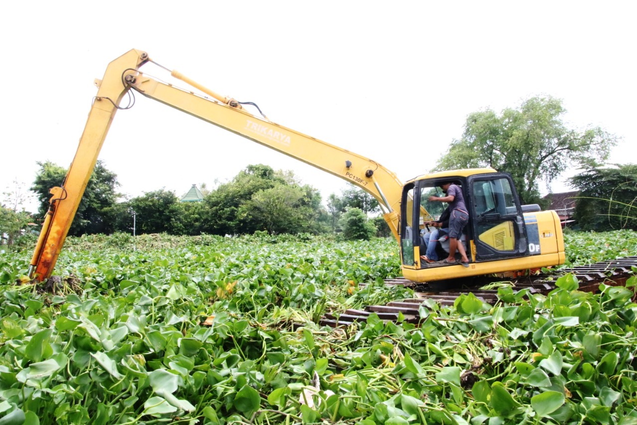 Pemkab Lamongan kerahkan alat berat untuk memersihkan enceng Gondok di sungai Pasi kawasan Bengawan Jero.