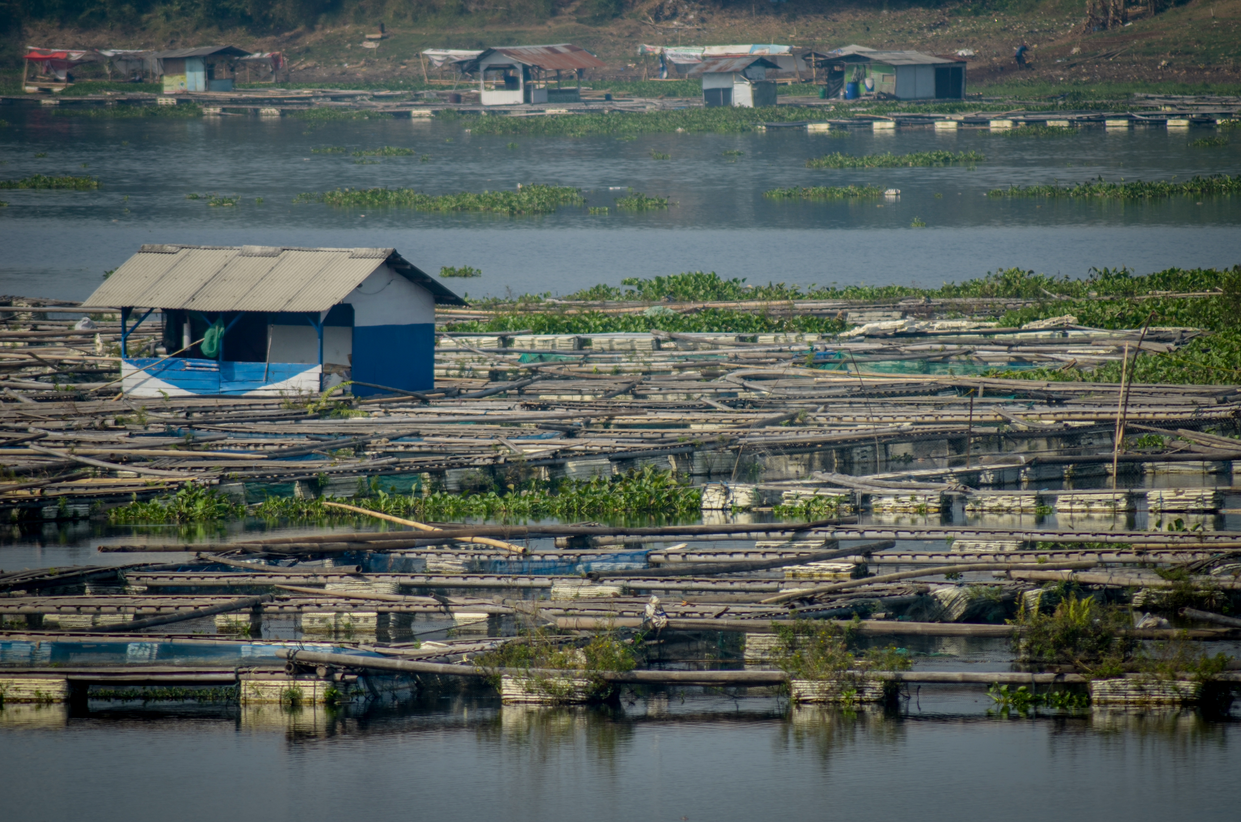 Keramba jaring apung di Waduk Saguling, Batujajar, Kabupaten Bandung Barat, Jawa Barat.