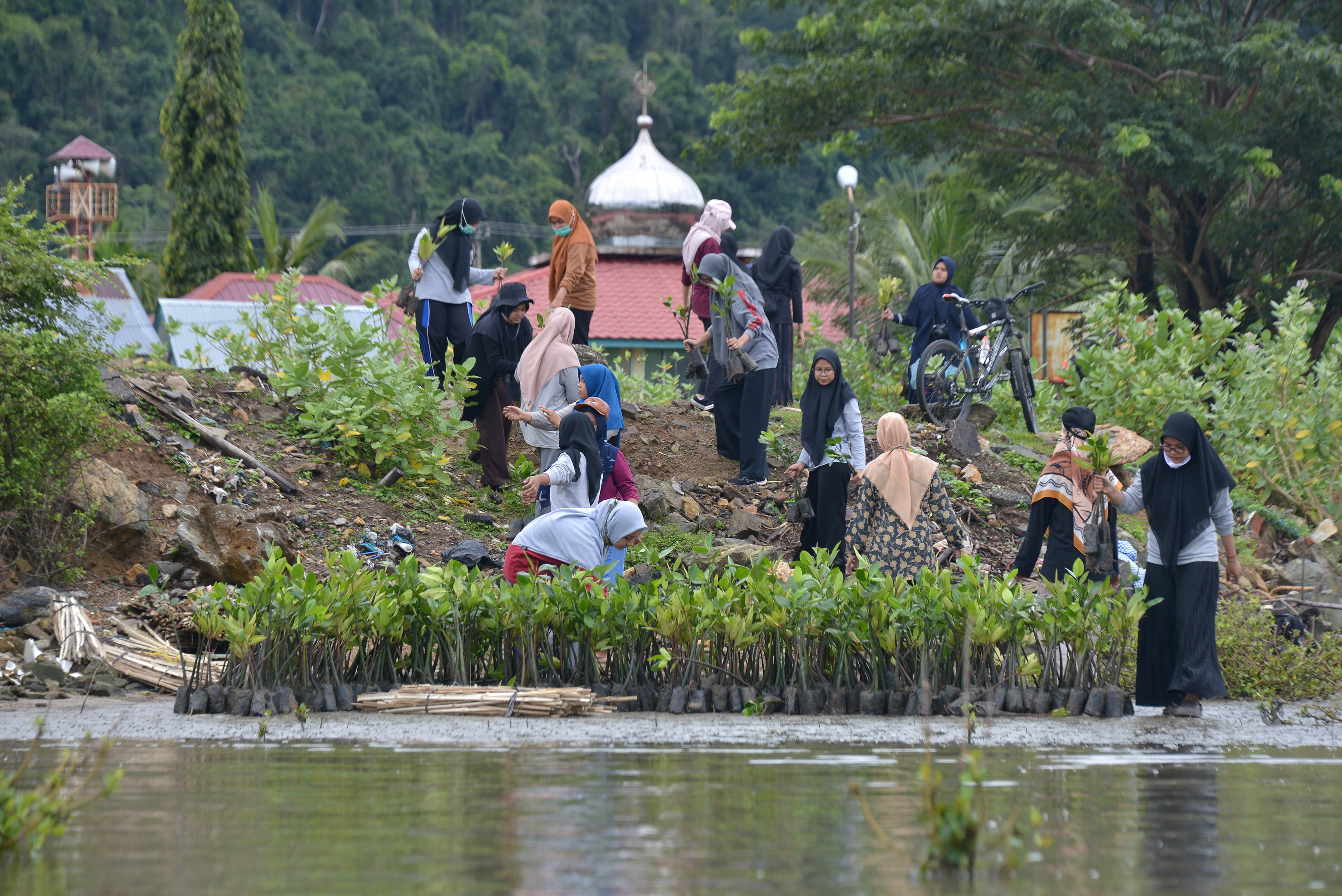Warga mempersiapkan bibit mangrove sebelum ditanam di kawasan pesisir Desa Lam Badeuk, Kecamatan Peukan Bada, Kabupaten Aceh Besar, Aceh.