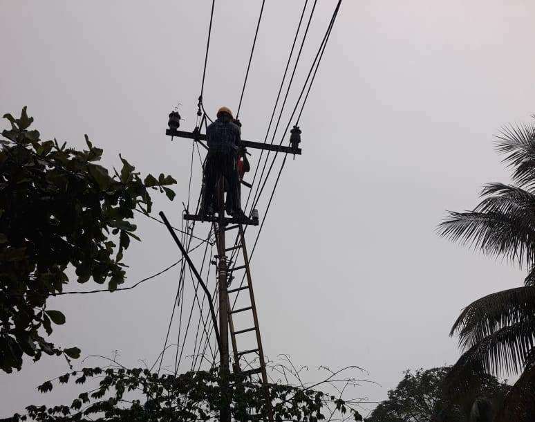 Petugas PLN sedang memperbaiki salah satu dari 872 gardu listrik yang rusak akibat gempa di Mamuju dan Majene, Sulbar, Jumat (15/1)
