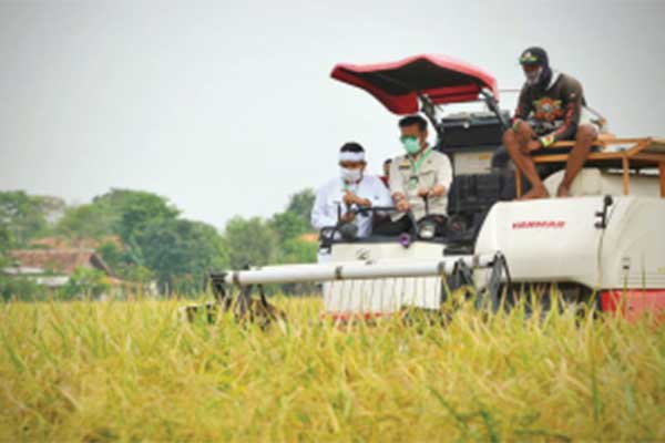 Mentan Syahrul Yasin Limpo melakukan panen raya padi. 