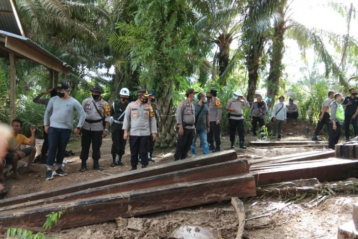 Kapolres Muarojambi,AKBP Ardiyanto saat mengamankan layu log jenis meranti hasil pembalakan liar di hutan Kabupaten Muarojambi, Jambi.