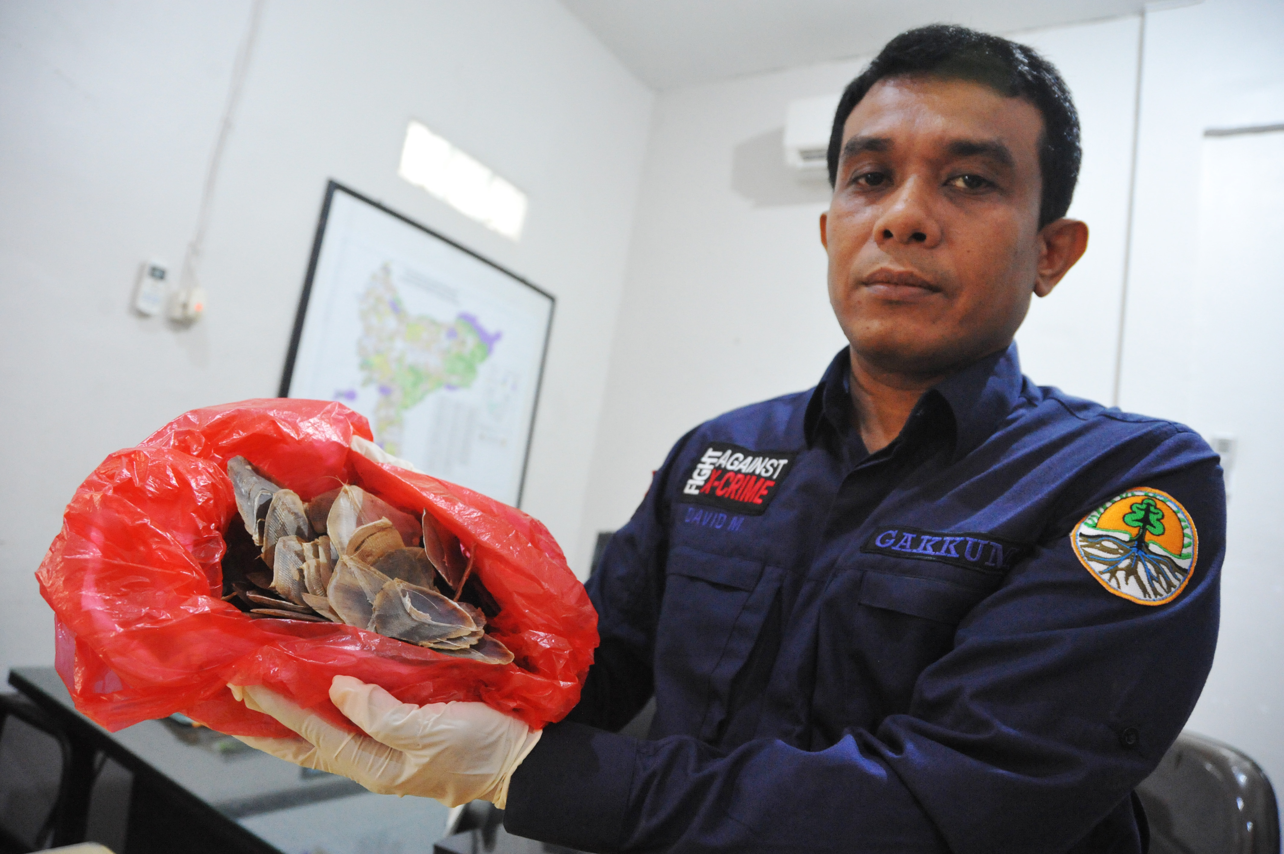 Ilustrasi  SPORC SITA SISIK TRENGGILING:  