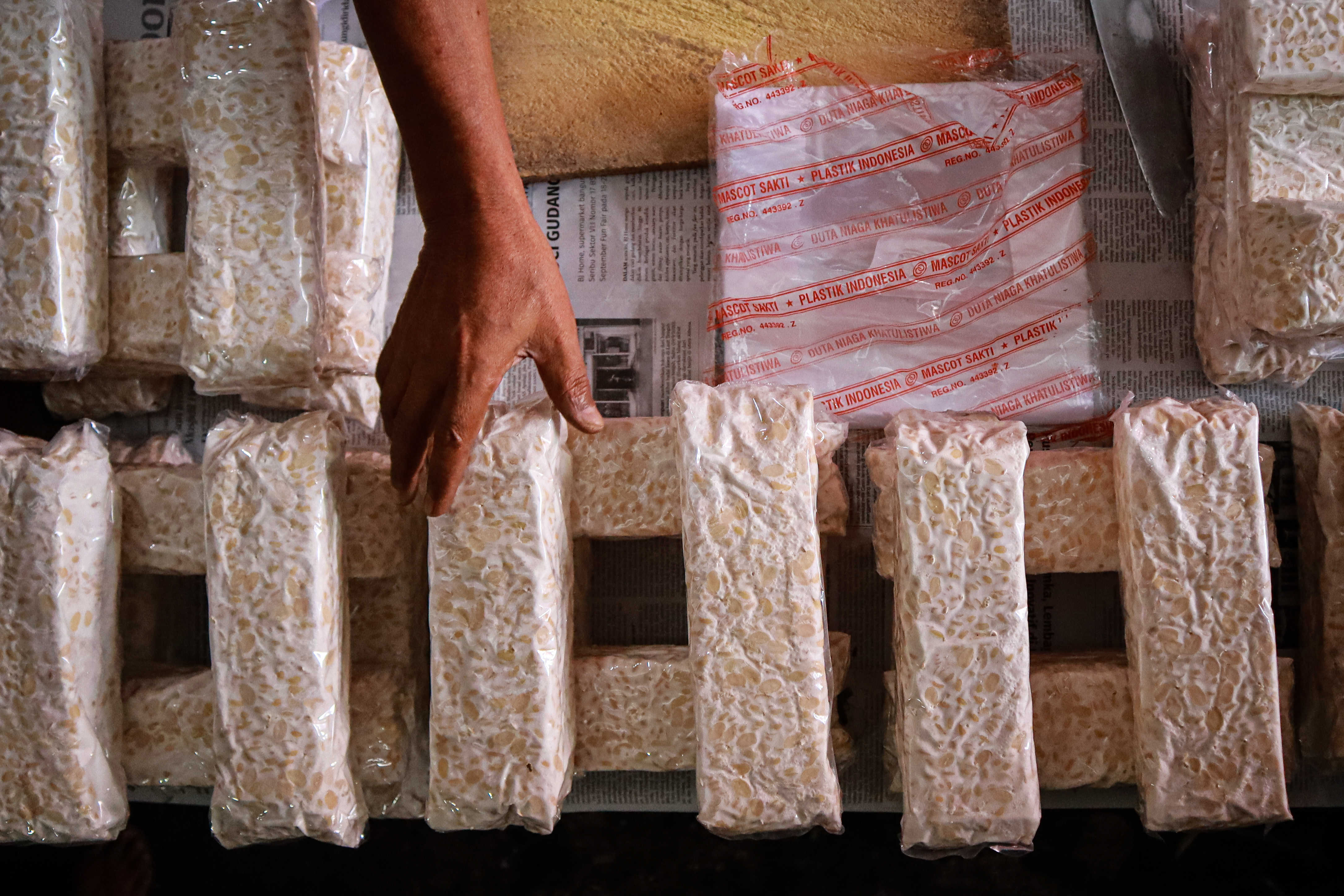 Tempe bahan baku kedelai