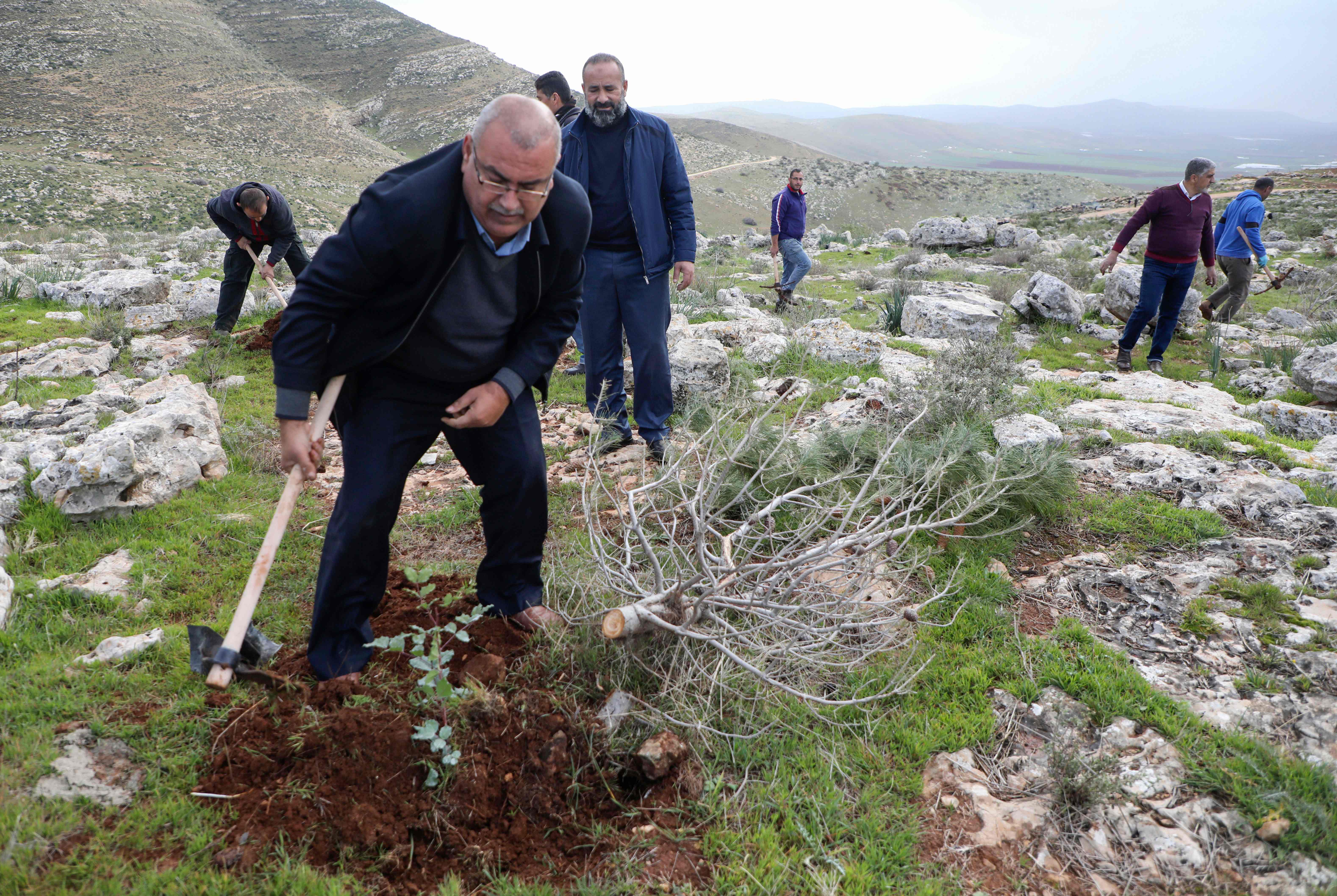 Warga Palestina menanam pohon, yang sebelumnya dihancurkan militer Israel, di dekat Kota Tubas, Tepi Barat.