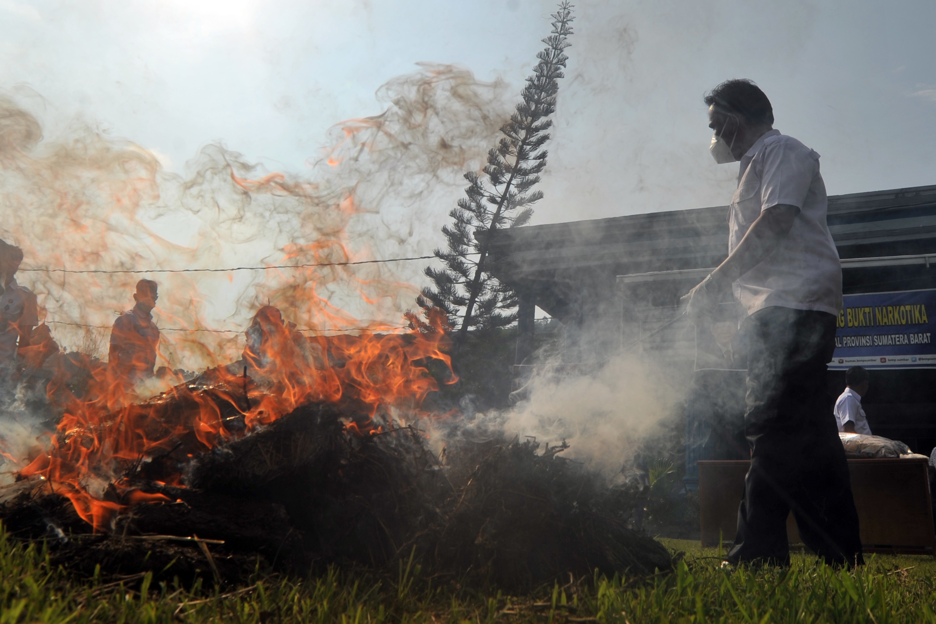Petugas Badan Narkotika Nasional Provinsi Sumbar memusnahkan barang bukti ganja kering dengan cara dibakar, Padang, beberapa waktu lalu.