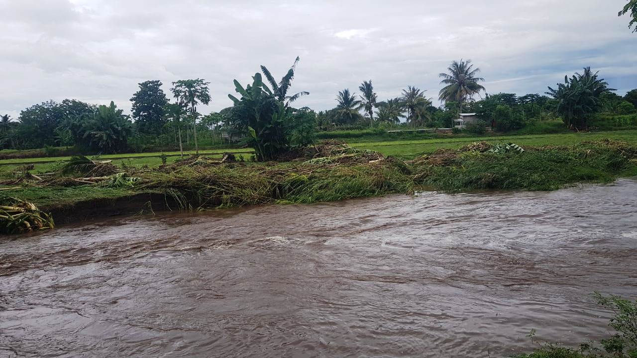 Lahan pertanian milik warga di Kecamatan Magepanda rusak diterjang banjir. 