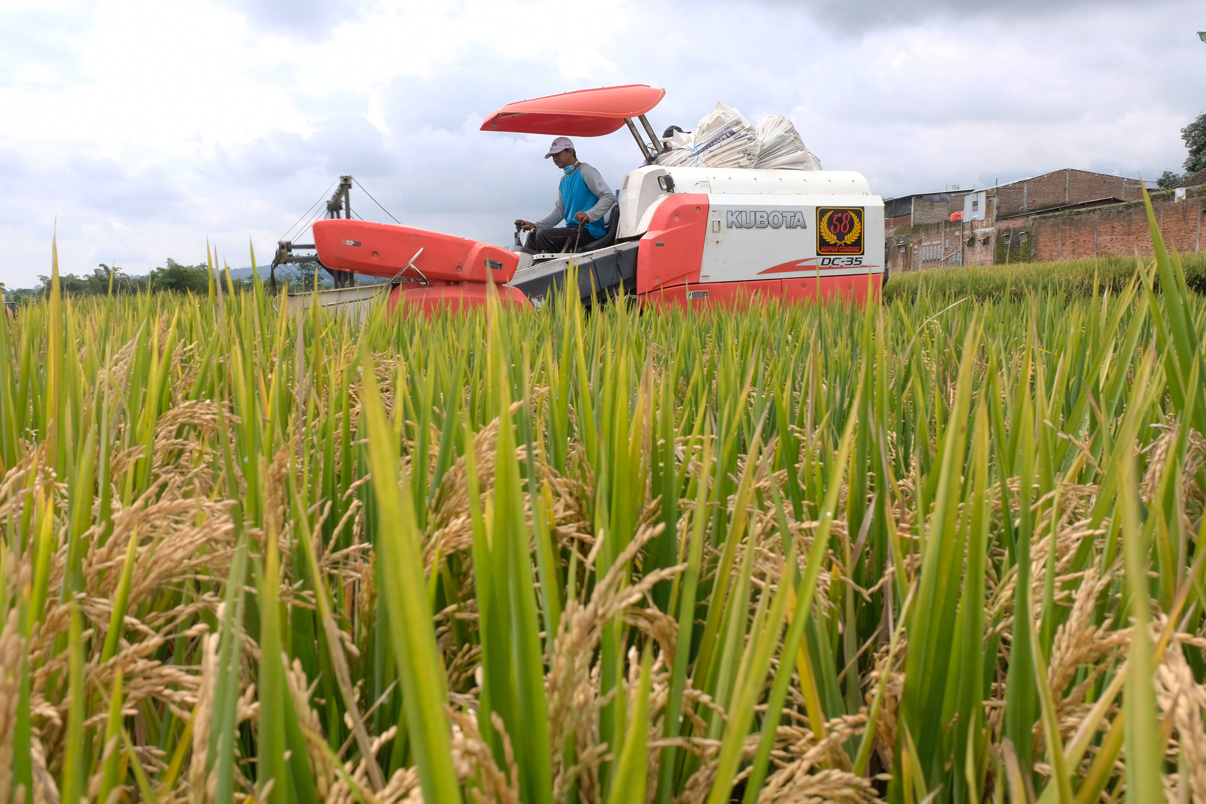 Waspadai Krisis Pangan, Anggaran Rp99 Triliun Disiapkan     