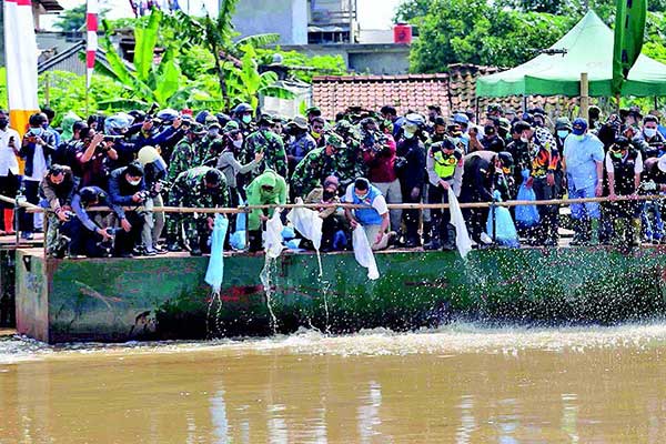 Bank BJB melepas benih ikan di Sektor 6 Daerah Aliran Sungai (DAS) Citarum, Kecamatan Bojongsoang, Kabupaten Bandung, Rabu (13/1).