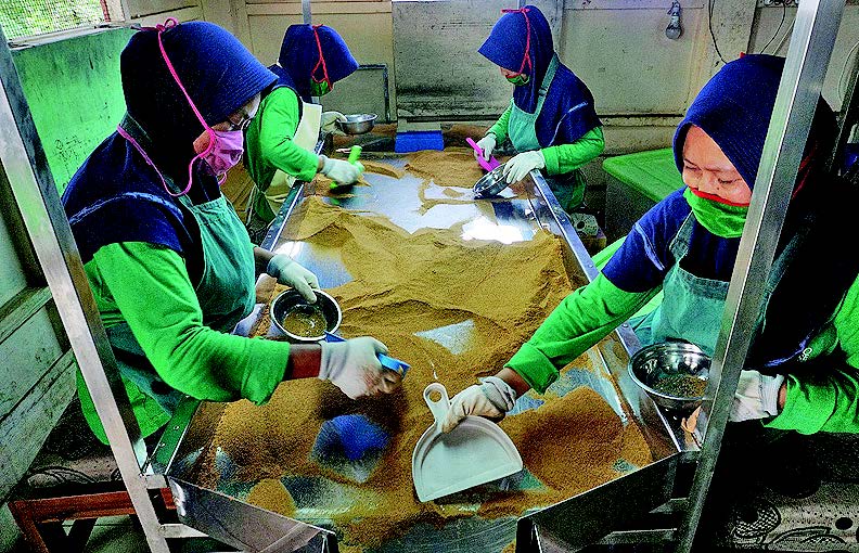 PRODUKSI GULA SEMUT: Para pekerja melakukan proses akhir pembuatan gula semut dengan nama merek Semedo Manise di Desa Semedo,Jawa Tengah