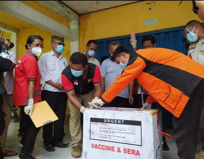 Vaksin Sinovac tiba di Labuan Bajo Manggarai Barat langsung diambil Tim Gugus Penanganan Covid-19 Kabupaten Manggarai Barat, Minggu (31/1)